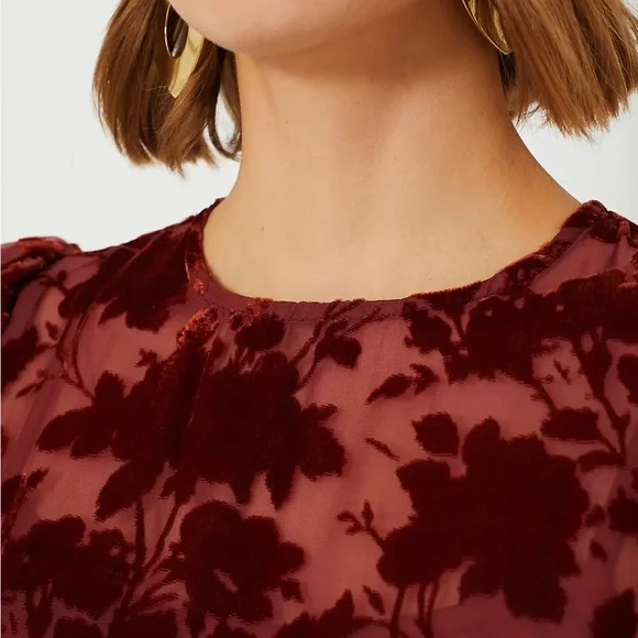 Copper Floral Ralph Velvet Dress - Picture 5 of 8